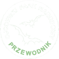 Usługi Przewodnickie
